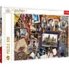 Puzzle 500 pièces : Harry Potter : Souvenirs de Poudlard - Trefl