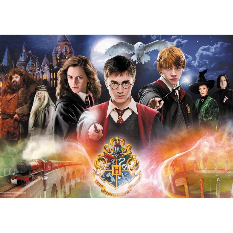 Puzzle 300 pièces : Harry Potter : Le Secret Harry Potter - Trefl