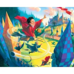 Puzzle 1000 pièces : Harry Potter : Quidditch - New York Puzzle Company