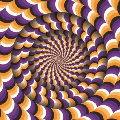 Puzzle 1050 pièces : Illusion d'optique - Magnolia