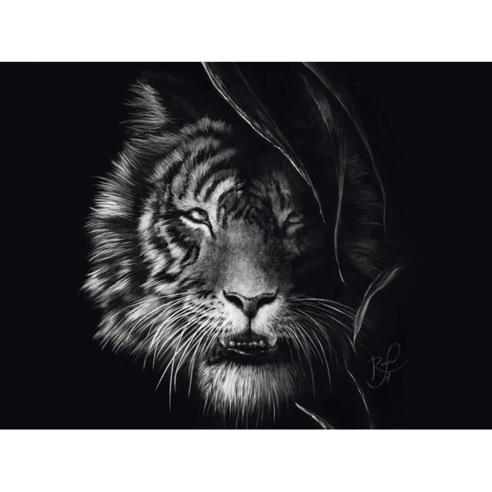 Puzzle 1000 pièces : Indompté – le tigre : sous le signe de la liberté - Ashley Rader - Schmidt