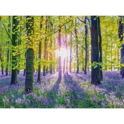 Puzzle 1000 pièces : Jacinthes délicates dans la forêt - Schmidt