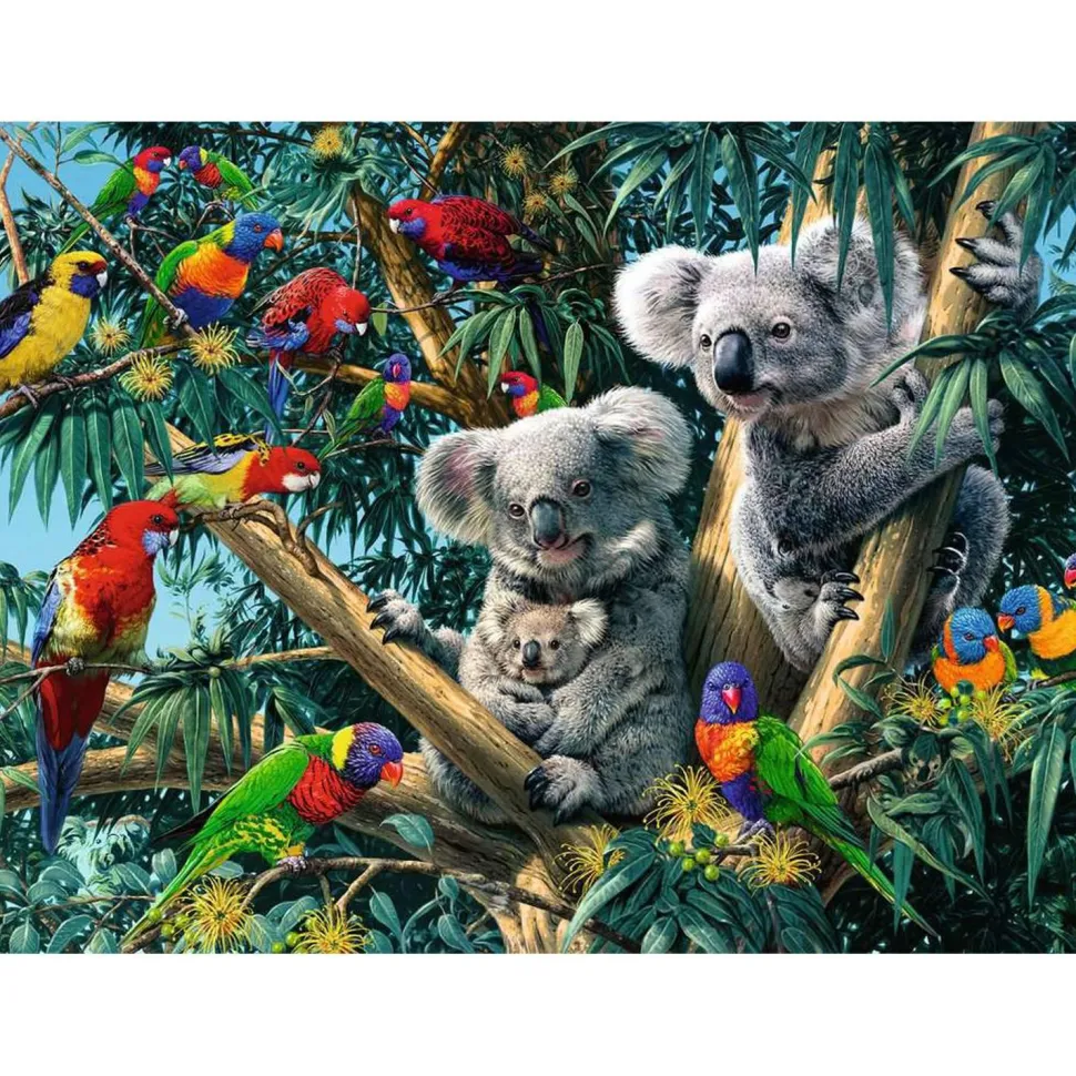 Puzzle 500 pièces - Koalas dans l'arbre - Ravensburger