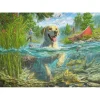 Puzzle 1000 pièces : Labrador sable à la pêche - Schmidt