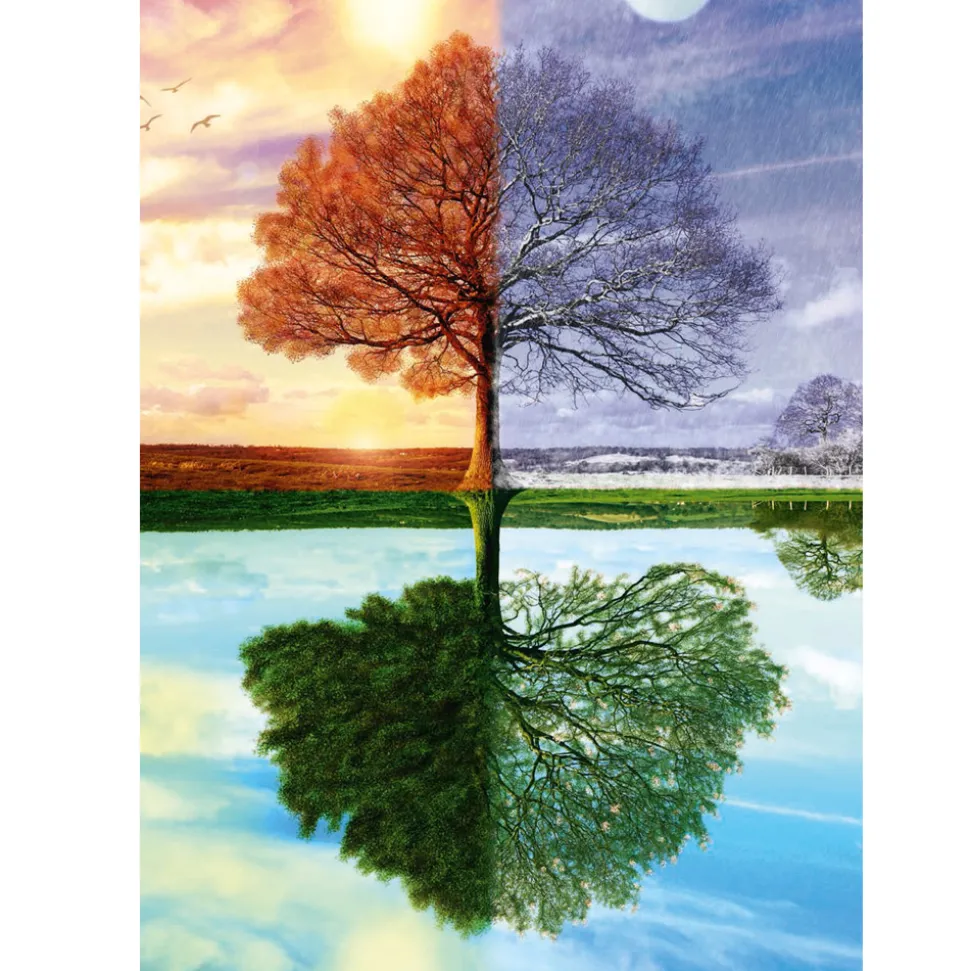 Puzzle 500 pièces : L'arbre des quatre saisons - Schmidt