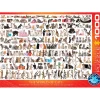 Puzzle 1000 pièces : Le monde des chats - Eurographics