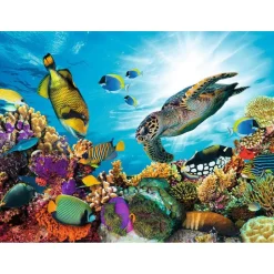 Puzzle 500 pièces : Le récif corallien - Nathan