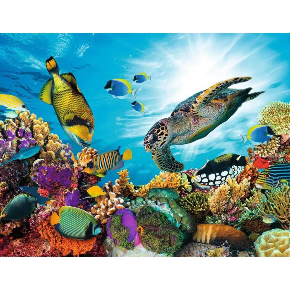 Puzzle 500 pièces : Le récif corallien - Nathan
