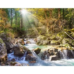 Puzzle 2000 pièces - Le ruisseau de la forêt - Castorland