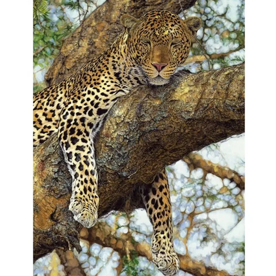 Puzzle 1000 pièces : Leopard - Dino