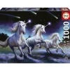 Puzzle 1000 pièces : Licornes, Anne Stokes - Educa
