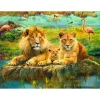 Puzzle 500 pièces - Lions dans la savane - Ravensburger