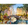 Puzzle 1000 pièces : Marche en soirée dans Central Park - Castorland