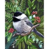 Puzzle 500 pièces : mésange à tête noire - New York Puzzle Company
