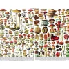 Puzzle 1000 pièces : Mushrooms Champignons - New York Puzzle Company