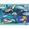Puzzle 104 pièces : National Geographic Kids : Océan - Clementoni