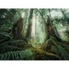 Puzzle 1000 pièces - Nature édition : En forêt - Ravensburger