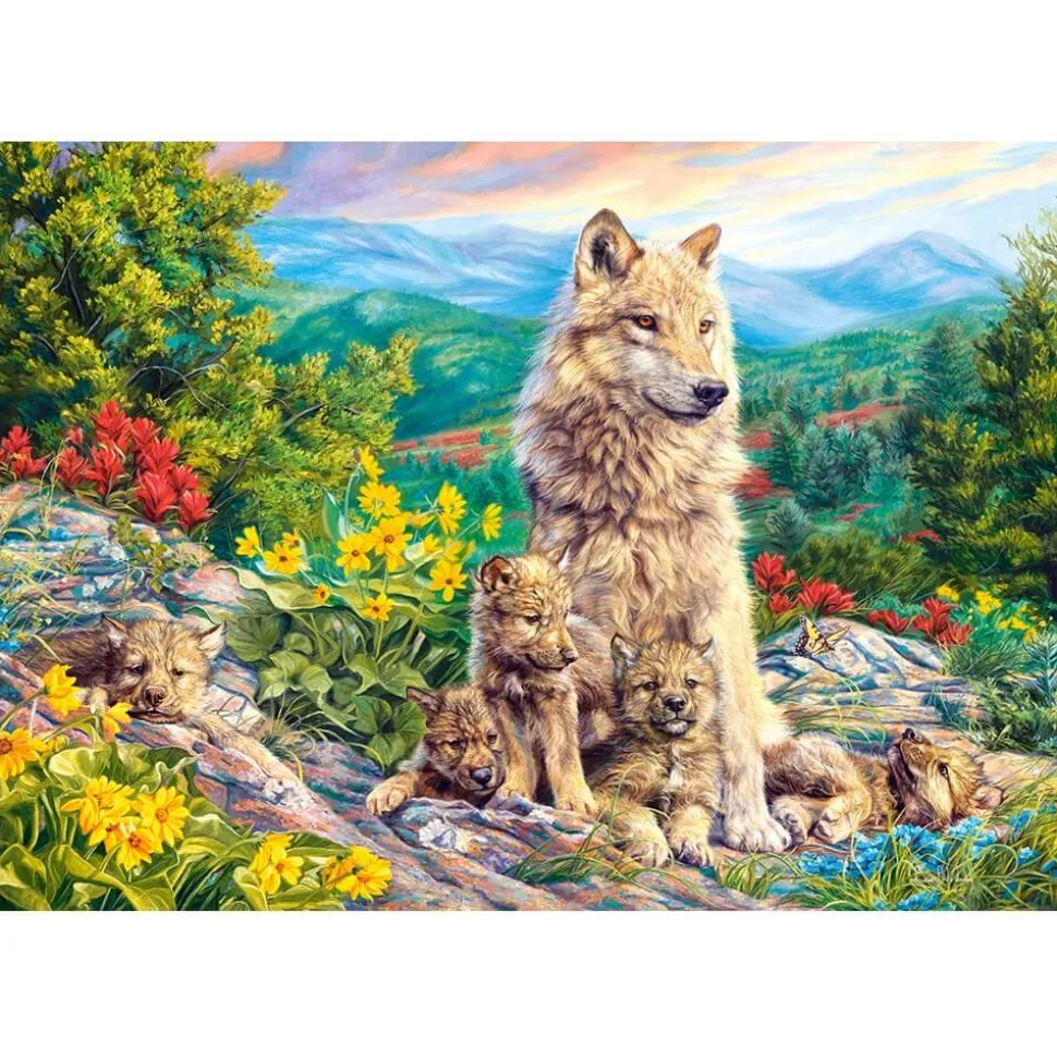 Puzzle 1000 pièces : Nouvelle génération - Castorland