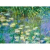 Puzzle 1000 pièces : Nymphéas - Claude Monet - Sentosphère