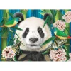 Puzzle 260 pièces : Paradis des pandas - Anatolian