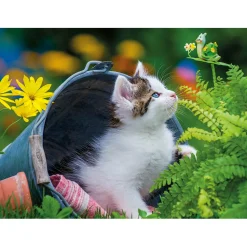 Puzzle 250 pièces : Petit chaton curieux - Nathan