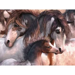 Puzzle 1000 pièces : Pintos - Schmidt