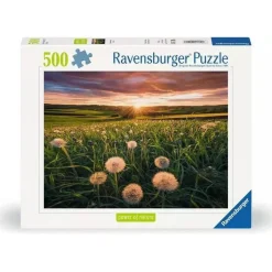 Puzzle 500 pièces : Pissenlits au crépuscule - Ravensburger