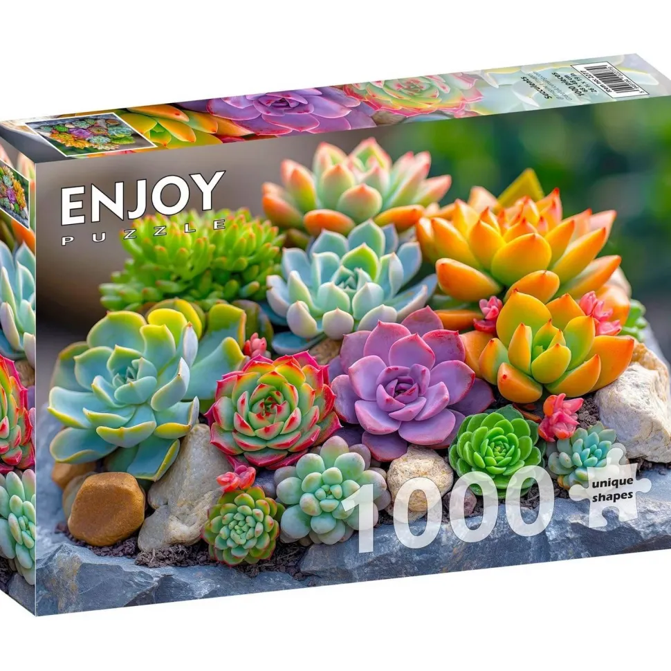 Puzzle 1000 pièces : Plantes succulentes - EnjoyPuzzle