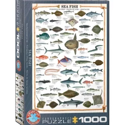 Puzzle 1000 pièces : Poissons de mer - Eurographics