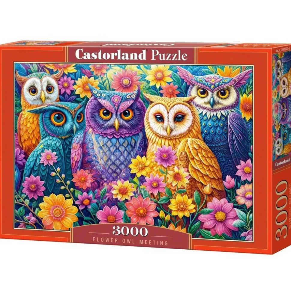 Puzzle 3000 pièces : Rencontre des hiboux fleuris - Castorland