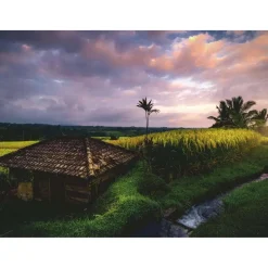 Puzzle 500 pièces : Rizières de Bali - Ravensburger