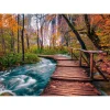 Puzzle 1000 Pièces : Ruisseau forestier à Plitvice - Croatie - EnjoyPuzzle