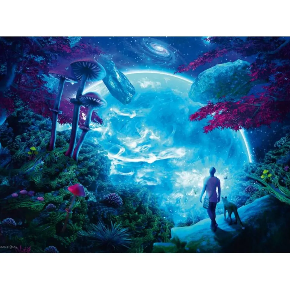 Puzzle 1000 pièces : Rêveries célestes - Cameron Gray - Schmidt