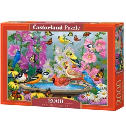 Puzzle 2000 pièces : Rythme de la Nature - Castorland