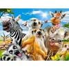 Puzzle 260 pièces : Selfie Africain - Castorland