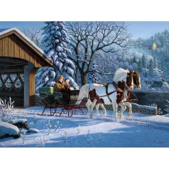 Puzzle 1000 pièces : Souvenirs Précieux - Ks Games