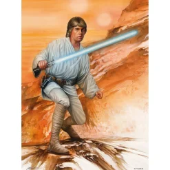 Puzzle 1000 pièces : Star Wars : Courageux - Schmidt