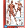 Puzzle 1000 pièces : Système musculaire - Eurographics