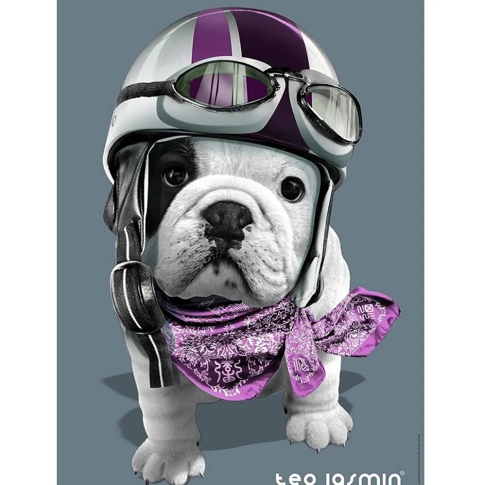 Puzzle 1000 pièces : Théo Jasmin - Nathan