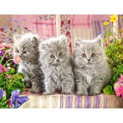 Puzzle 300 pièces : trois petits chatons gris - Castorland