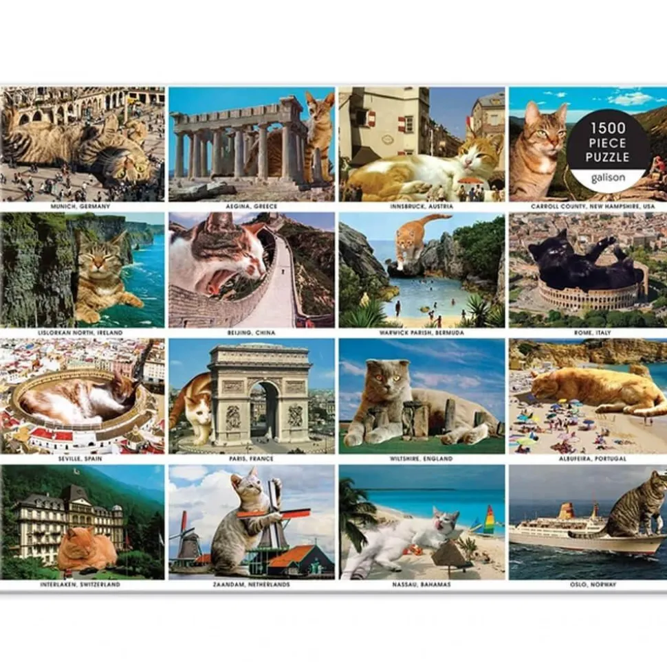 Puzzle 1500 pièces : Vacances de chats - Galison