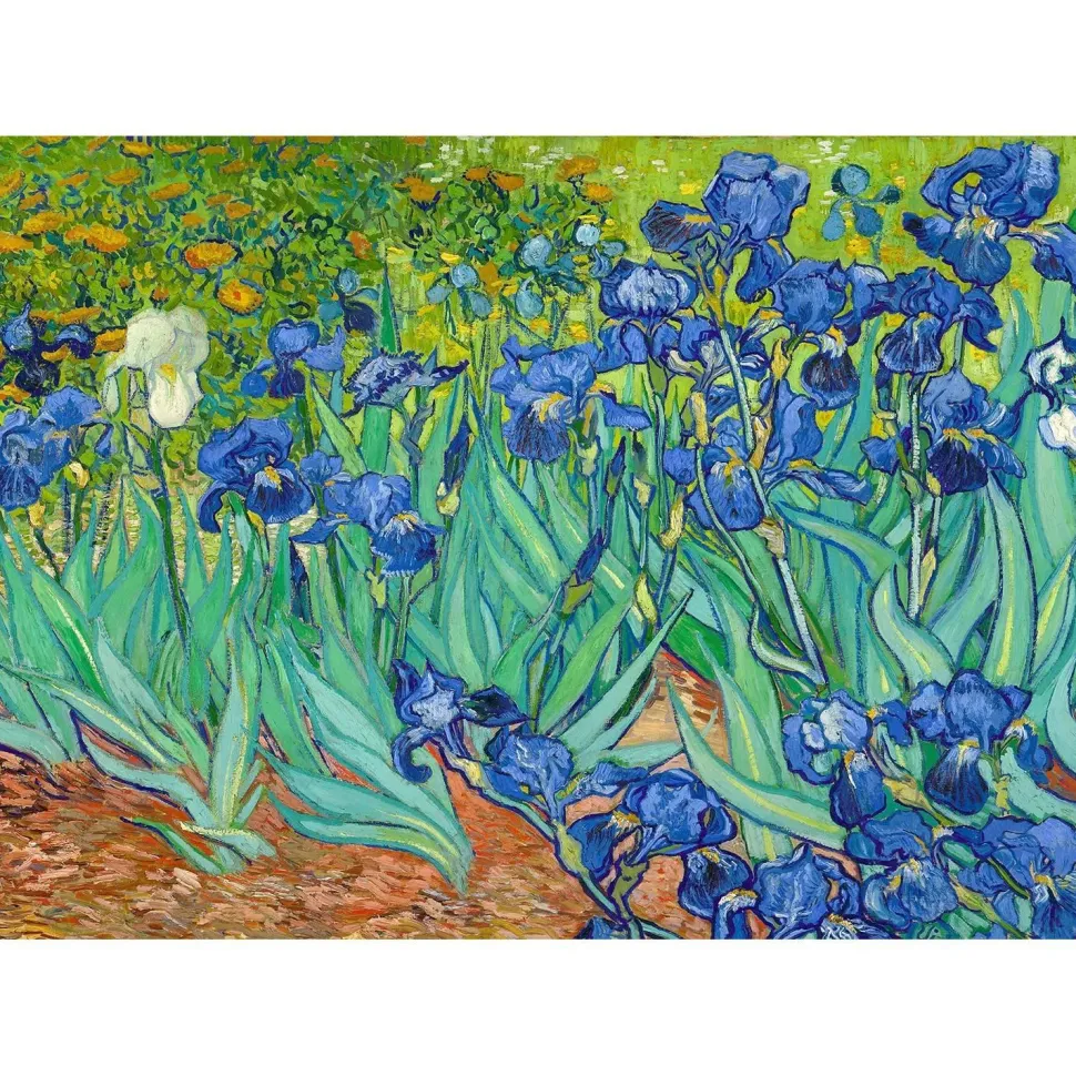 Puzzle 1000 pièces : Vincent Van Gogh : Les Iris - EnjoyPuzzle