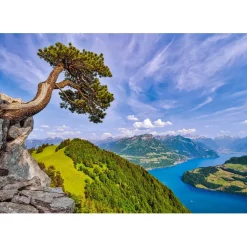 Puzzle 1000 pièces : Vue du lac d'Uri, Suisse - Castorland