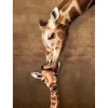 Puzzle 500 pièces Larges : Le câlin de la girafe - Eurographics