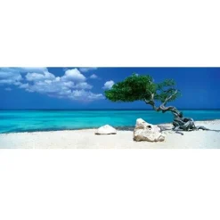 Puzzle 1000 pièces panoramique - Alexander von Humboldt : Arbre de Divi Divi - Heye