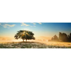 Puzzle 1000 pièces panoramique : Jeu de lumières - Heye