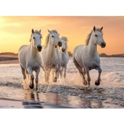 Puzzle 500 pièces XL : Chevaux en Camargue - Sentosphère