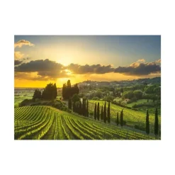Puzzle 500 pièces XL : Vignobles de la Maremme - Dino