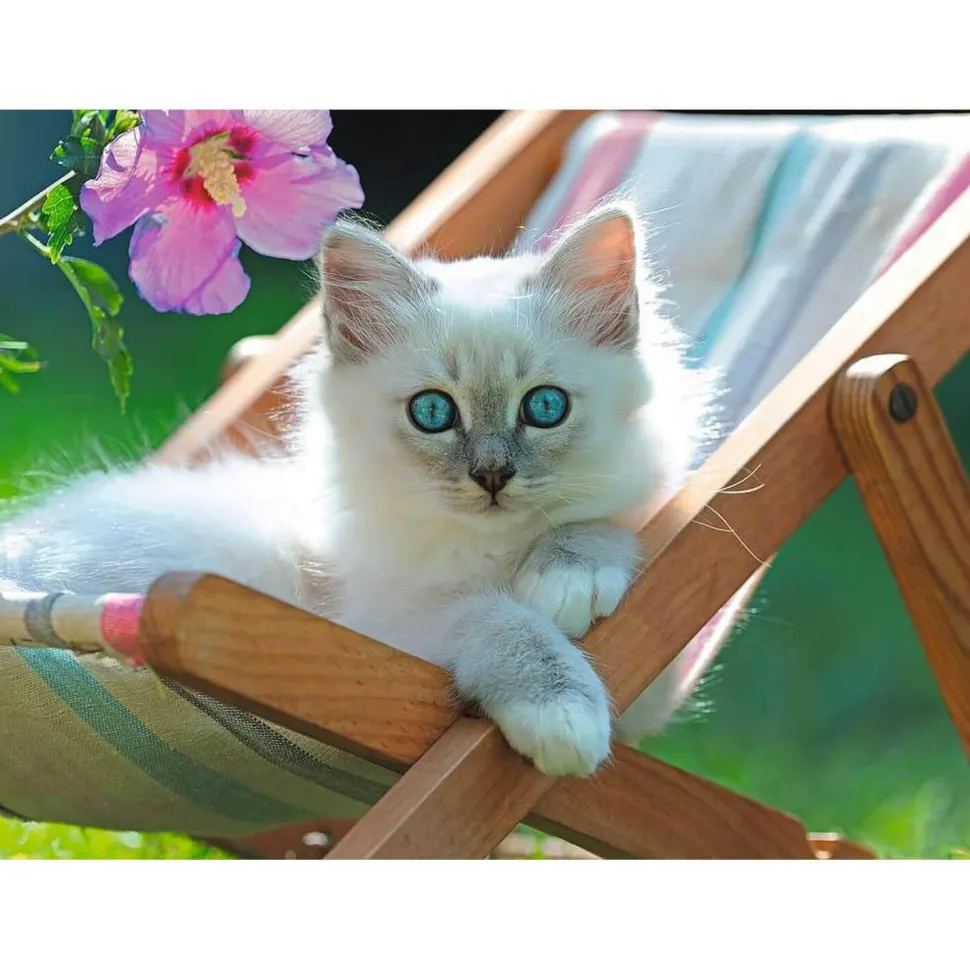 Puzzle 200 pièces XXL : Chaton blanc - Ravensburger