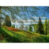 PUZZLE 1000 PIECES : FLORAISON DES TULIPES - ILE DE MAINAU - Schmidt